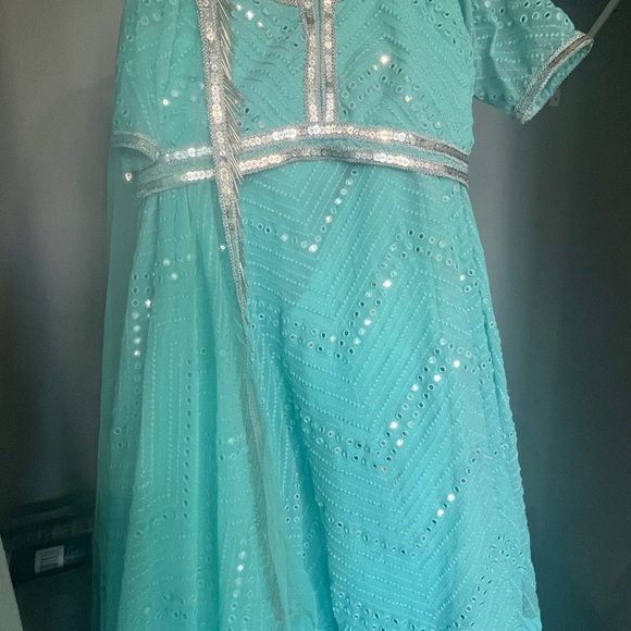 Gorgeous Indian/ pakistani lehenga - Picture 2 of 2